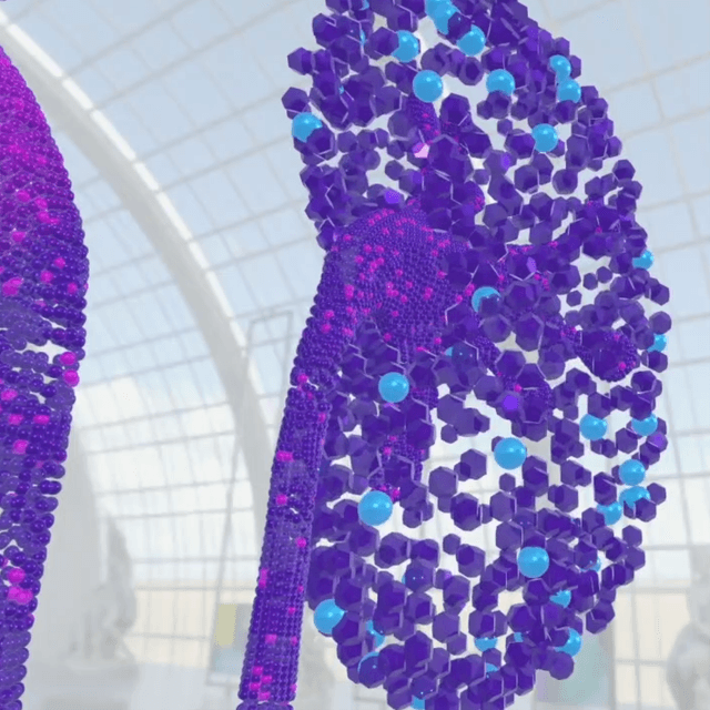 Jelmyto - Inspiration behind the Innovation